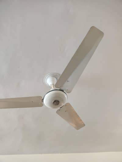 ceiling fans (pakfan) available in good condition