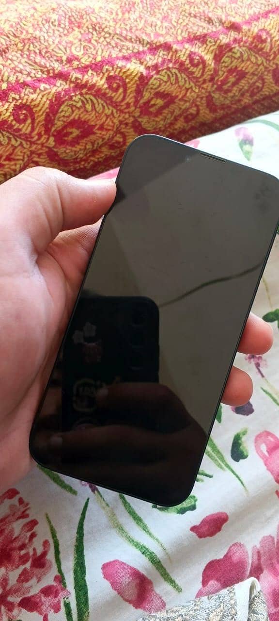 Apple iPhone 13 0
