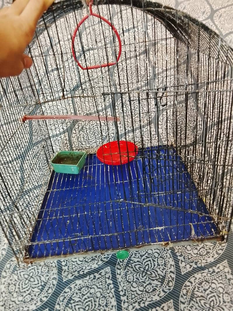 pet cage 6