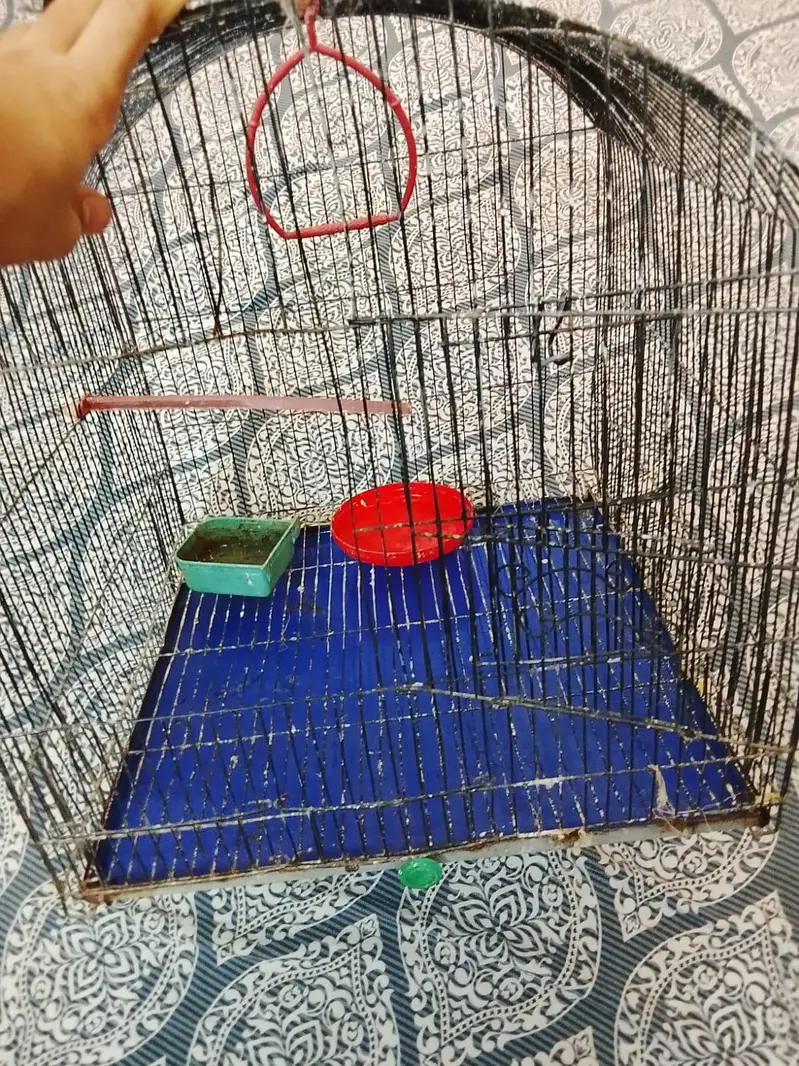 pet cage — photo 7