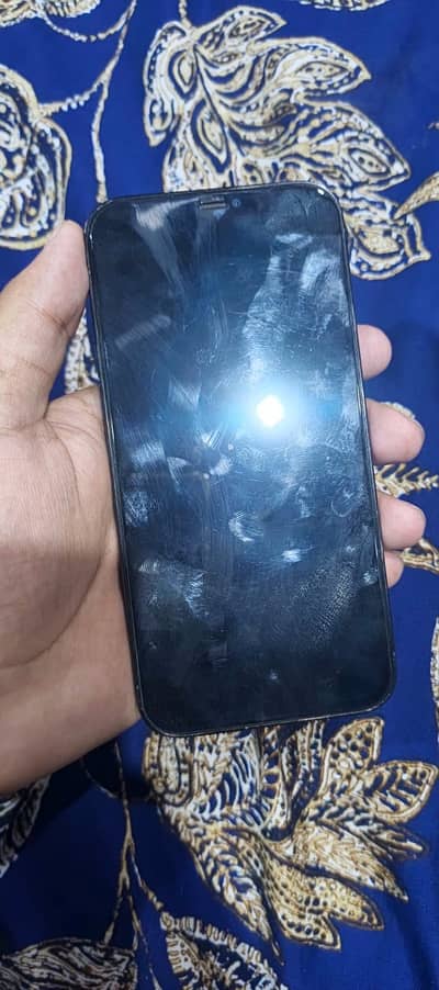 Apple iPhone 12 Pro Max