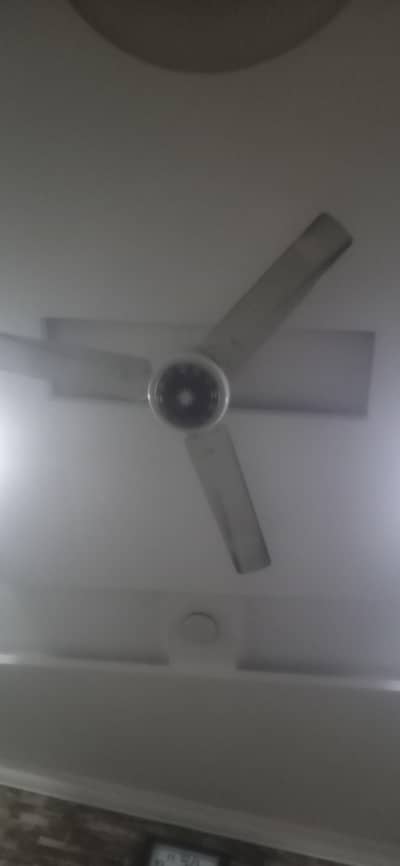 pak fan