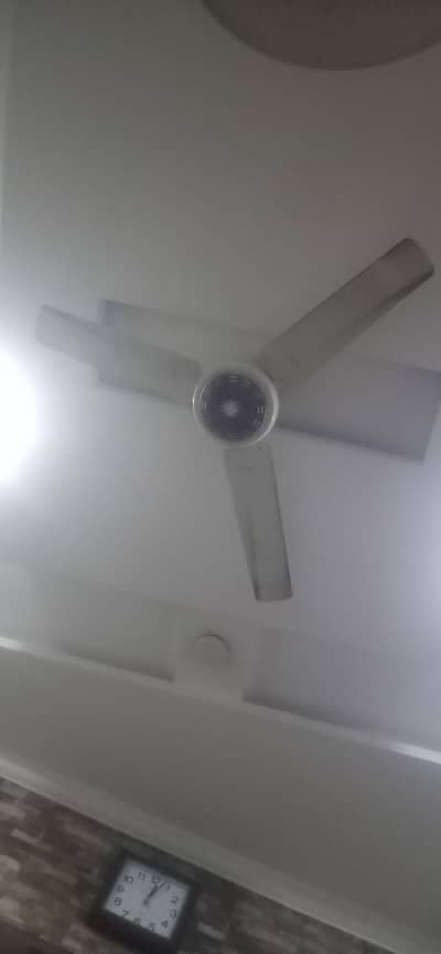 fan celing