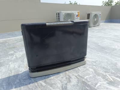 Rinnai Electric & Gas Heater RC-309T-1