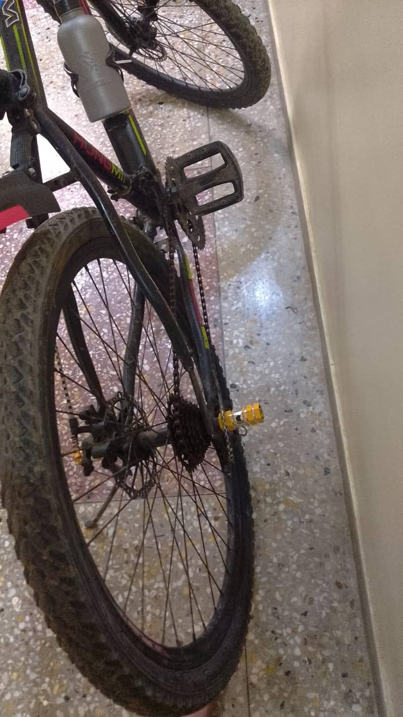 bicycle 2