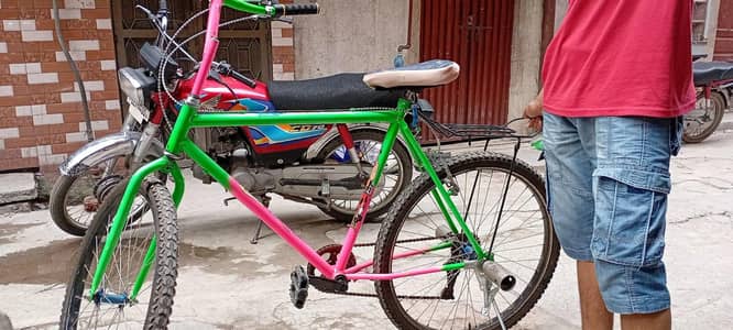 Custom Multi-Color Cruiser Bike with Rear Cargo Rack