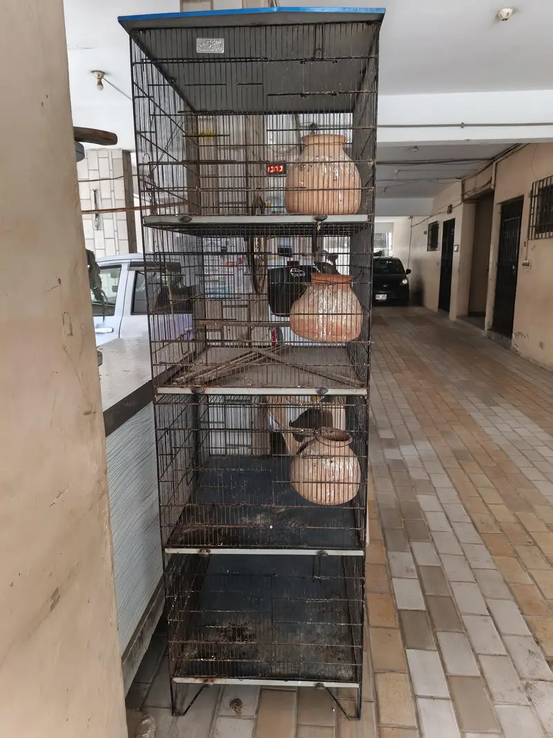 Master Cage for sell 4 portion folding in 2 portion 2ft *3ft — photo 2