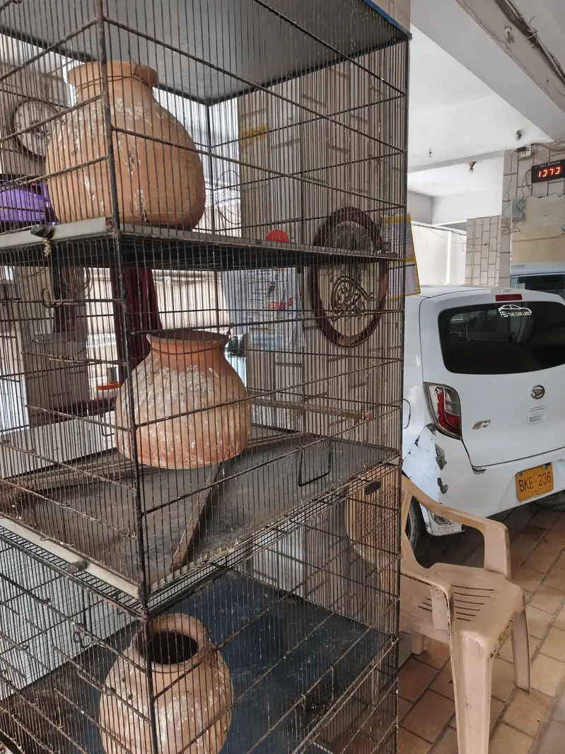 Master Cage for sell 4 portion folding in 2 portion 2ft *3ft — photo 3
