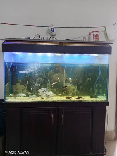 four fit aquarium for sale