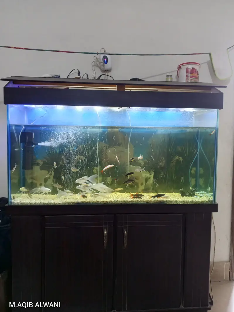 four fit aquarium for sale