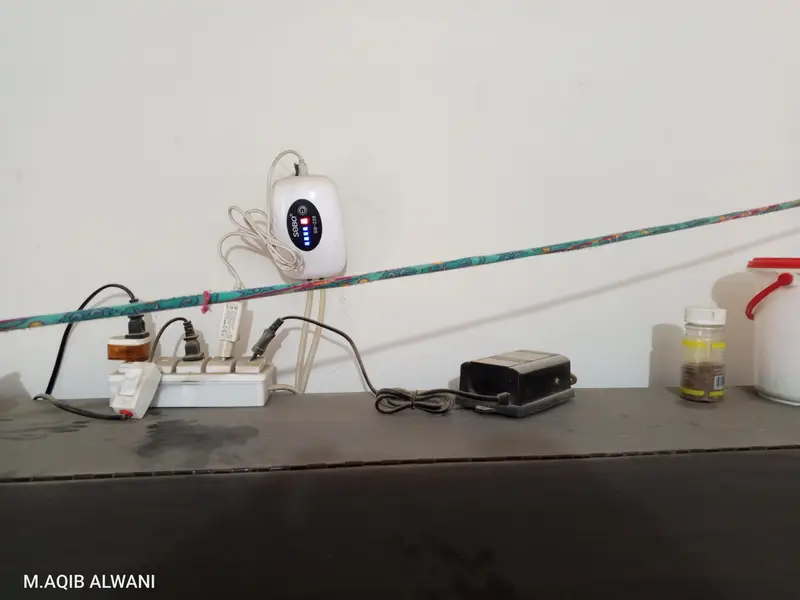 four fit aquarium for sale — photo 2