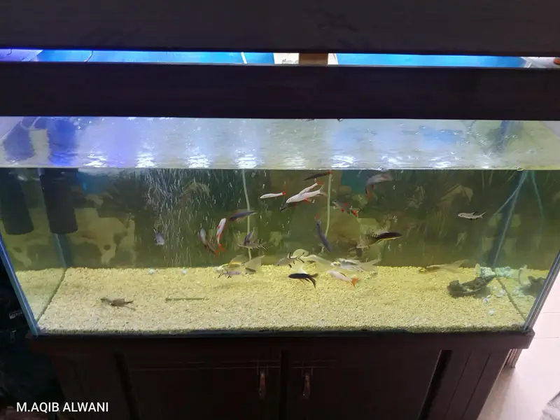 four fit aquarium for sale — photo 4