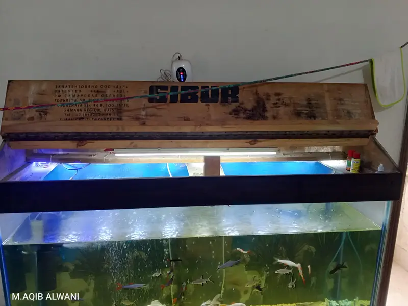 four fit aquarium for sale — photo 7