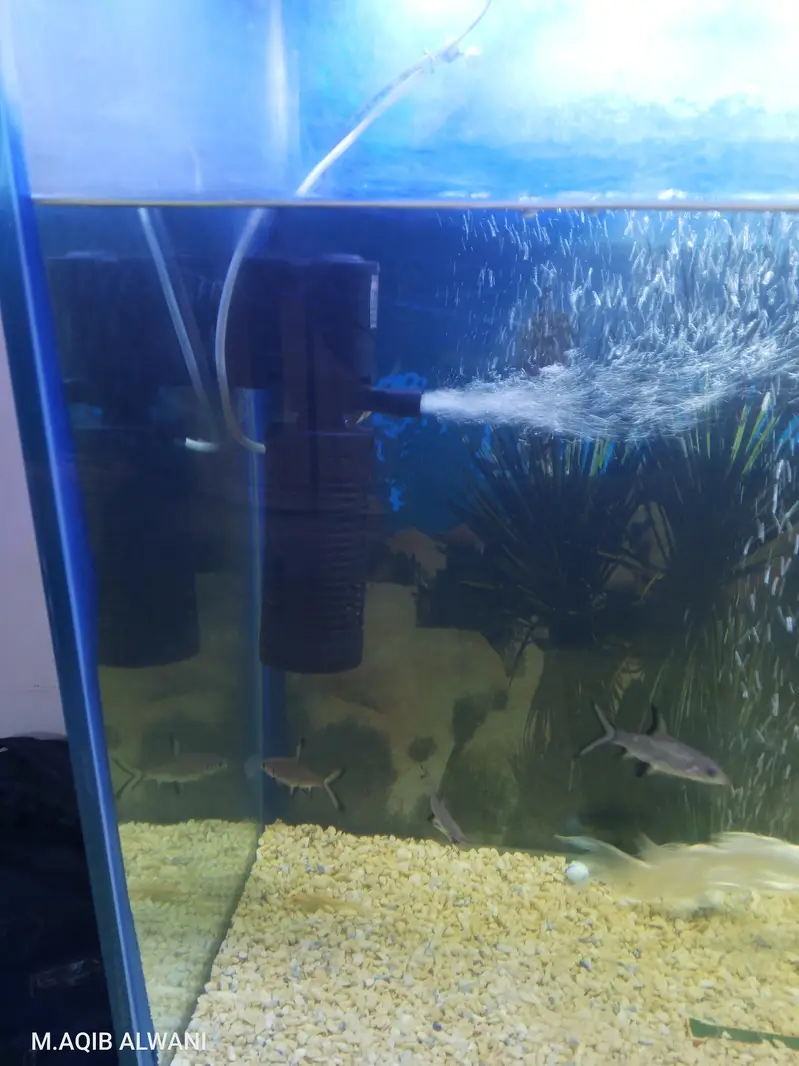 four fit aquarium for sale — photo 9