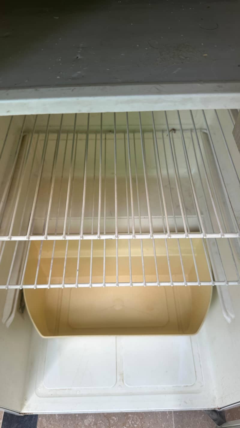 Fridge 1