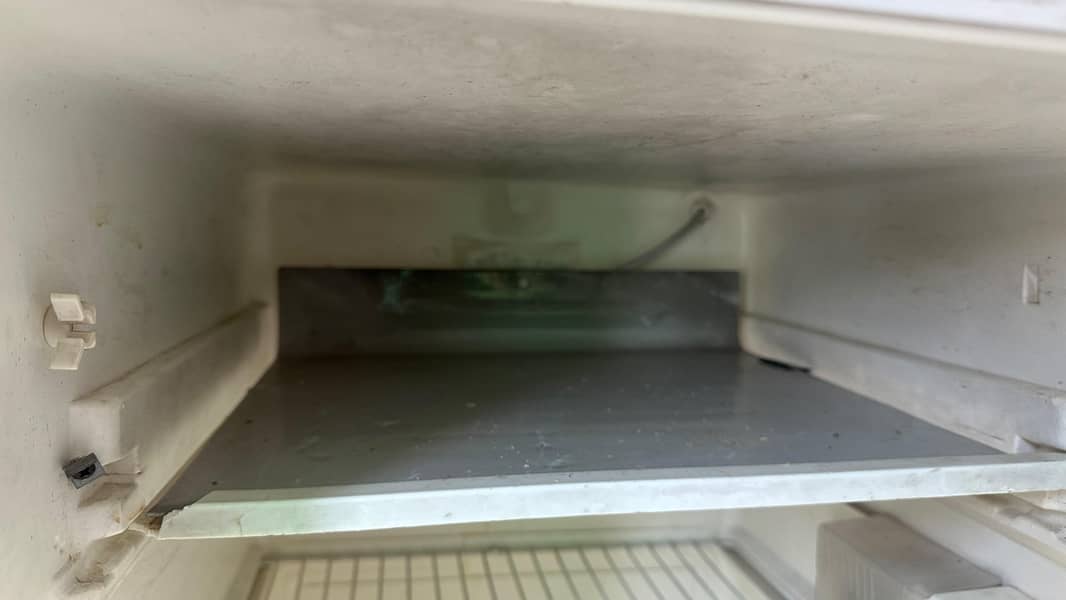 Fridge 7