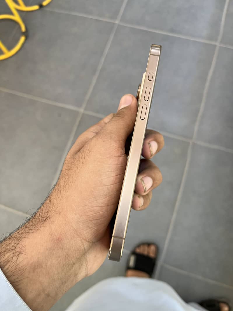 Apple iPhone 16 Pro Max 4
