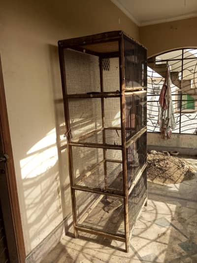 Hens Cages