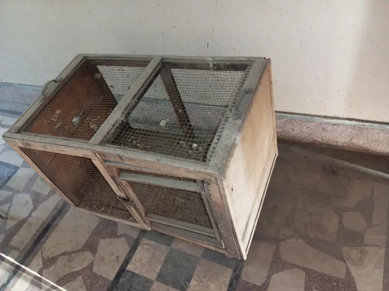 Hens Cages — photo 4