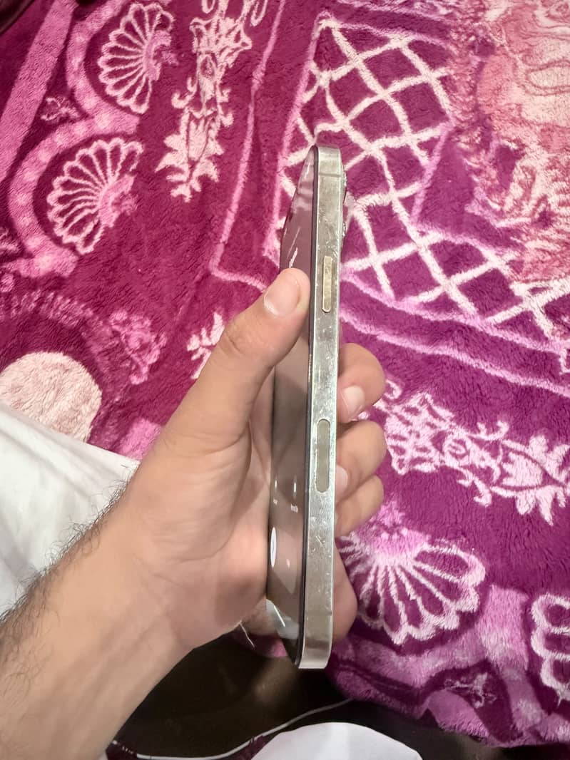 Apple iPhone 13 Pro Max 1