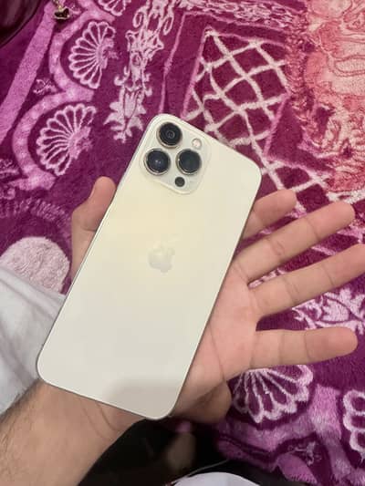 Apple iPhone 13 Pro Max