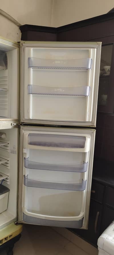 Pell fridge 19qbf for sale