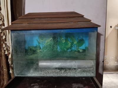only aquarium. with bajri etc. . no leakege.