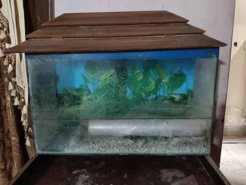 only aquarium. with bajri etc. . no leakege. — photo 2