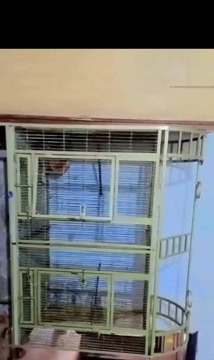 cage for sale — photo 2