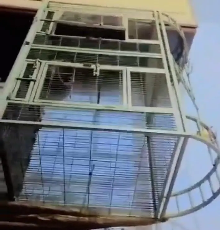 cage for sale — photo 3
