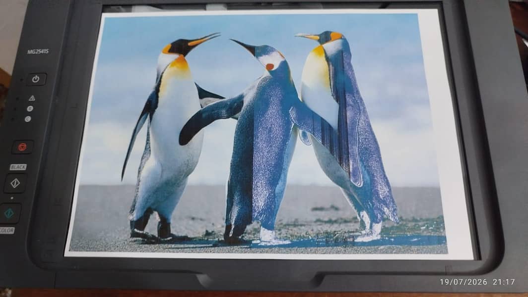 Excellent Condition 9