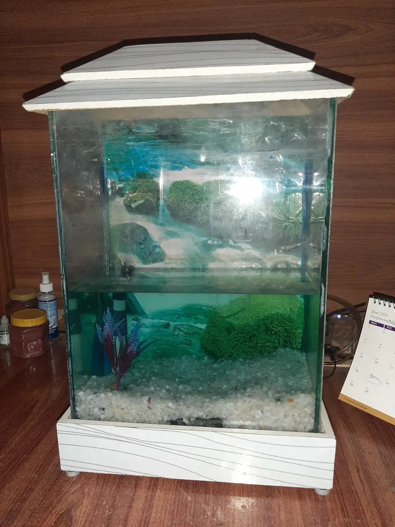 Fish Aquarium — photo 2