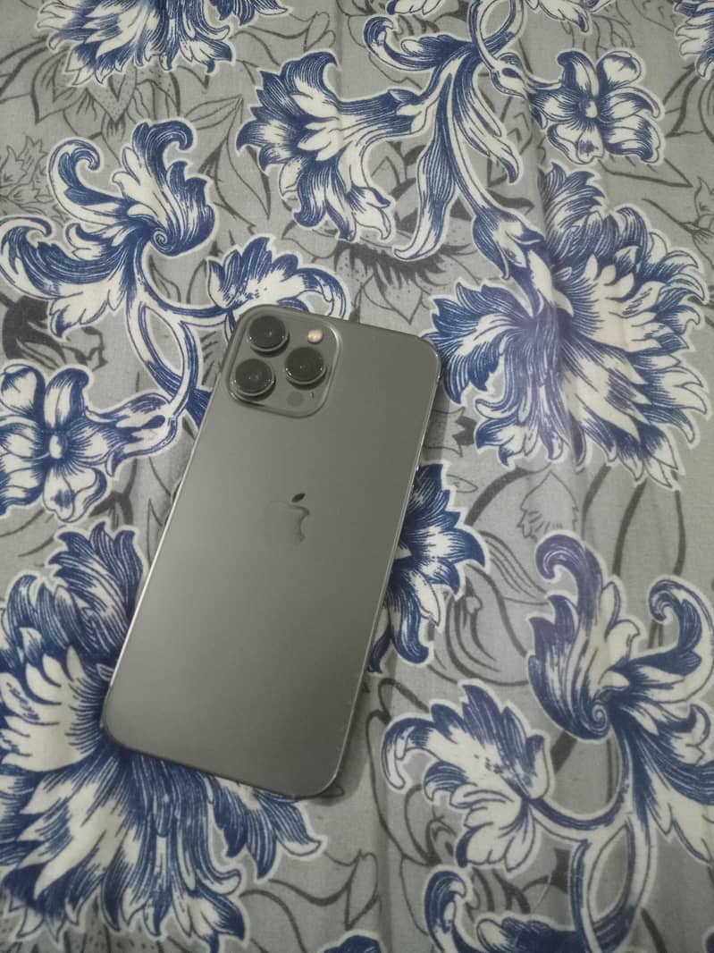 Apple iPhone 13 Pro Max 0