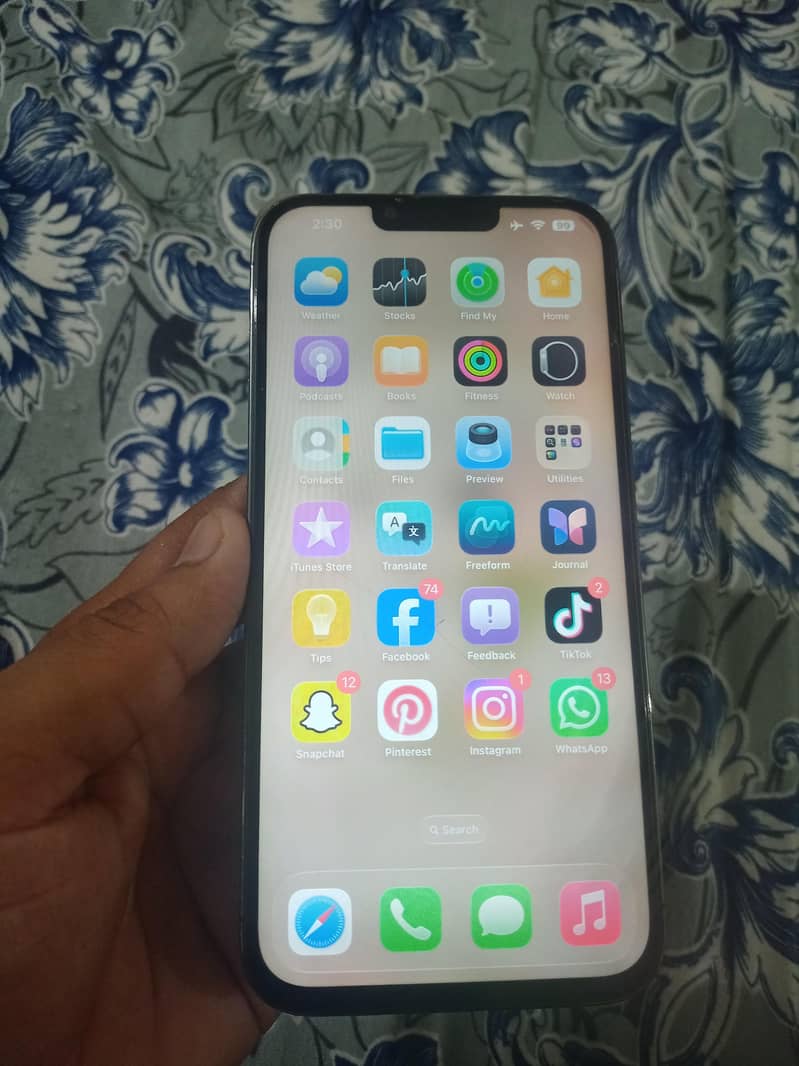 Apple iPhone 13 Pro Max 1