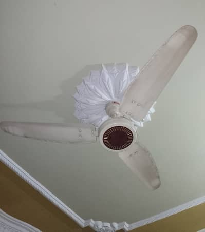Royal Ceiling Fan
