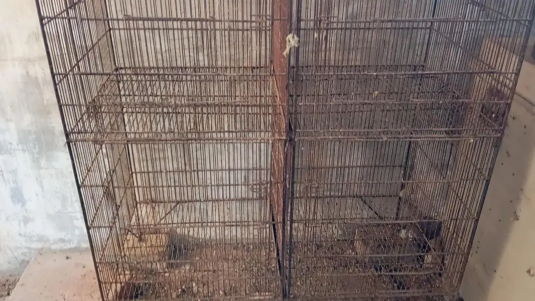 8portion cage for sell — photo 3