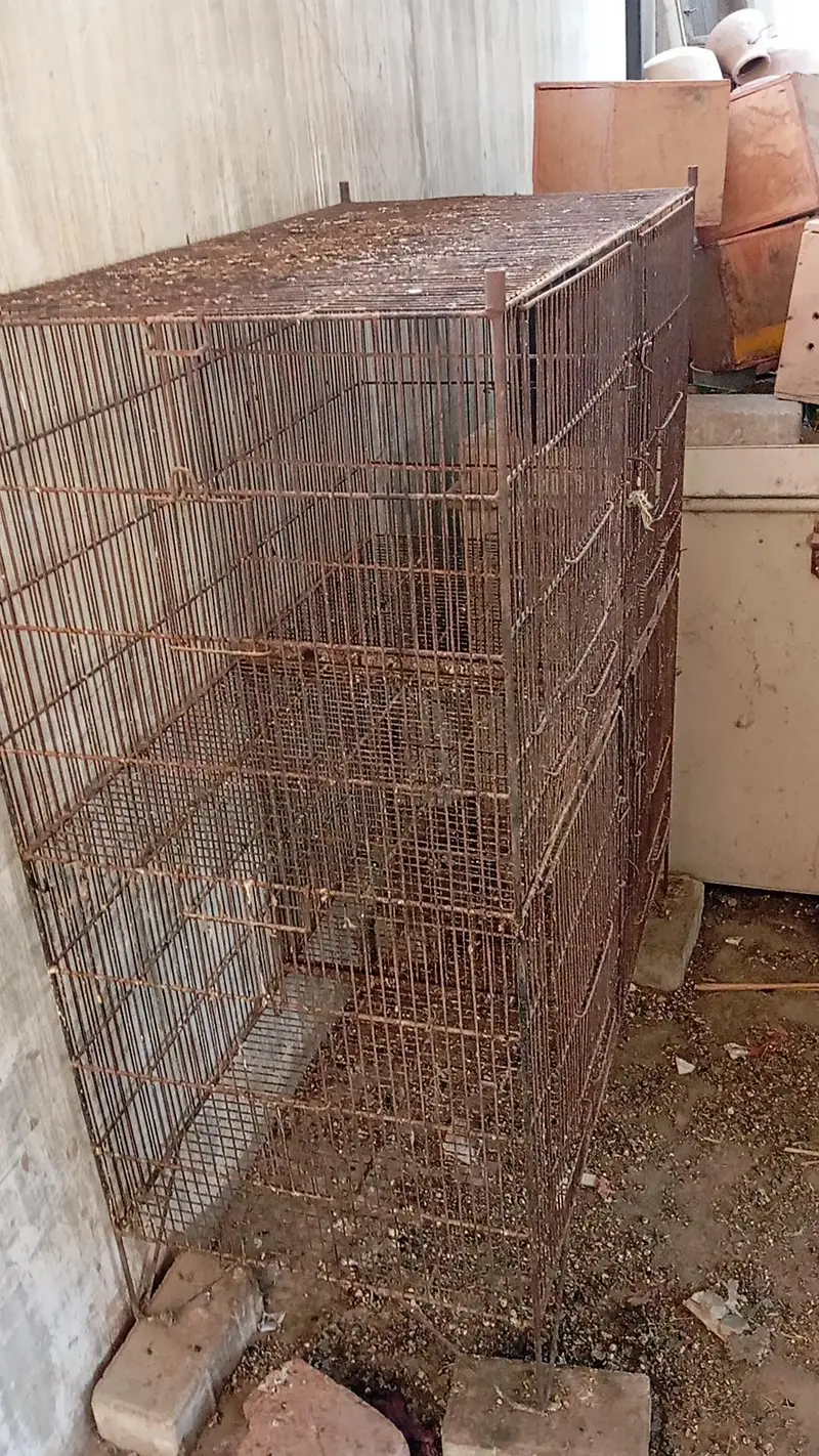 8portion cage for sell — photo 4