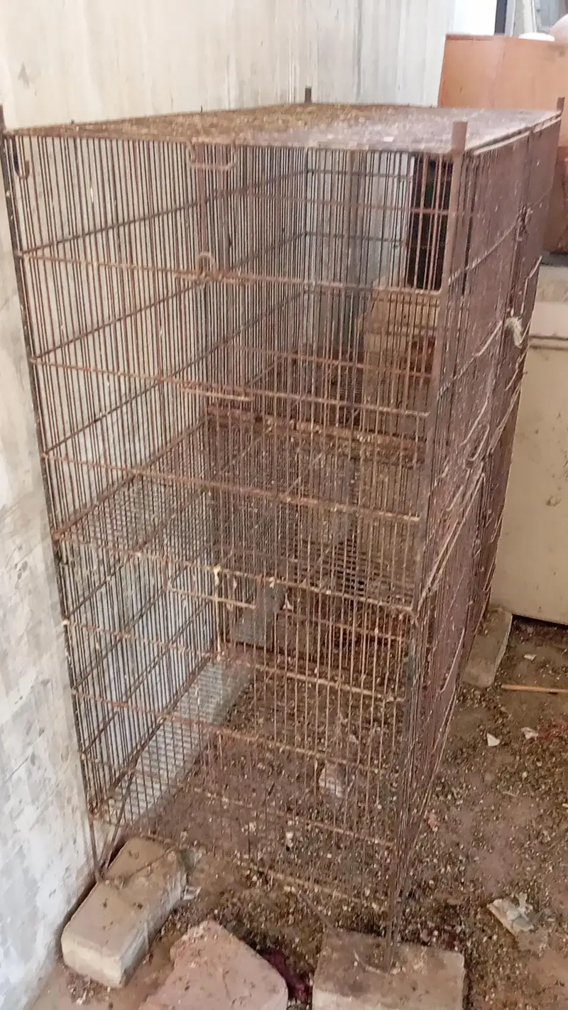 8portion cage for sell — photo 5