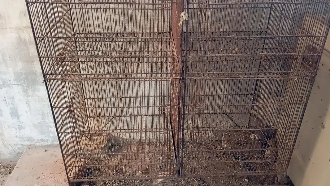 8portion cage for sell — photo 6