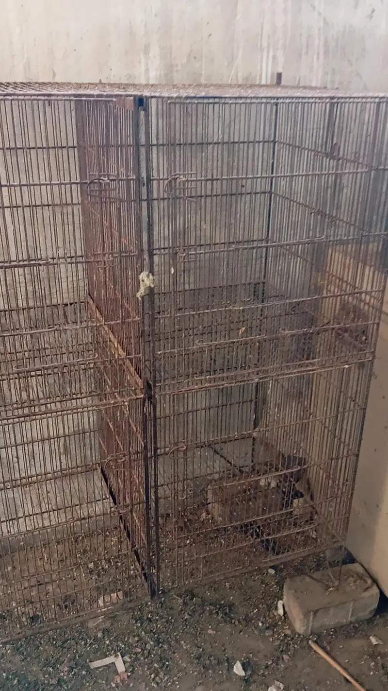 8portion cage for sell — photo 7