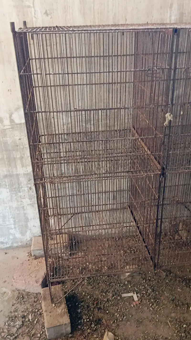 8portion cage for sell — photo 8