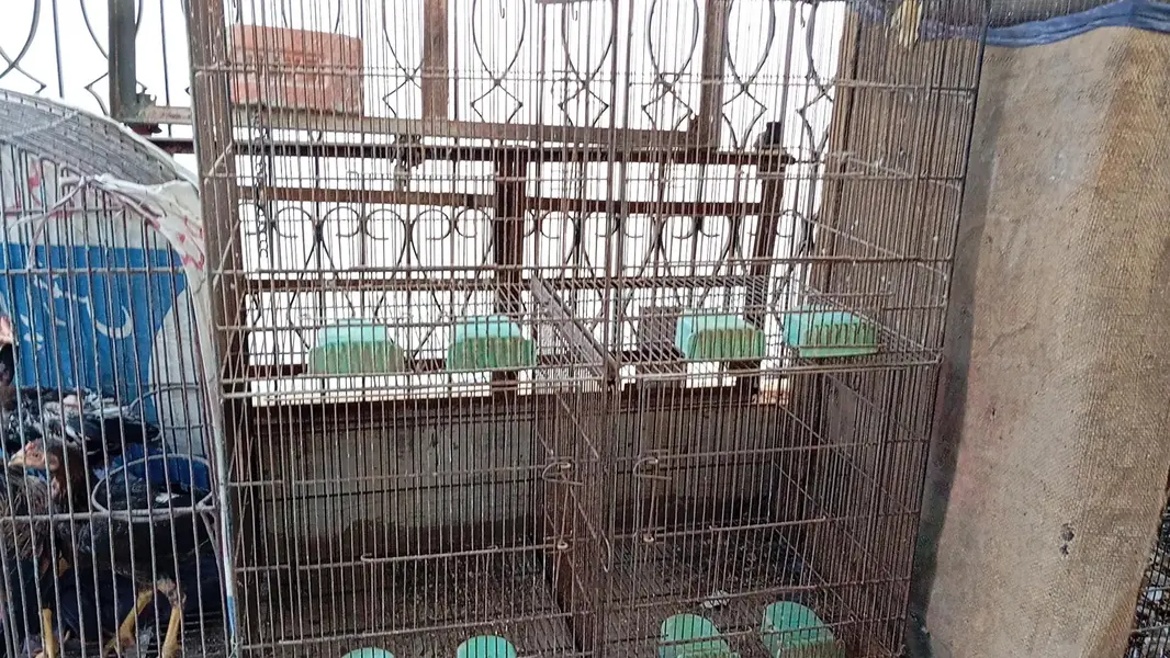 8portion cage for sell — photo 10