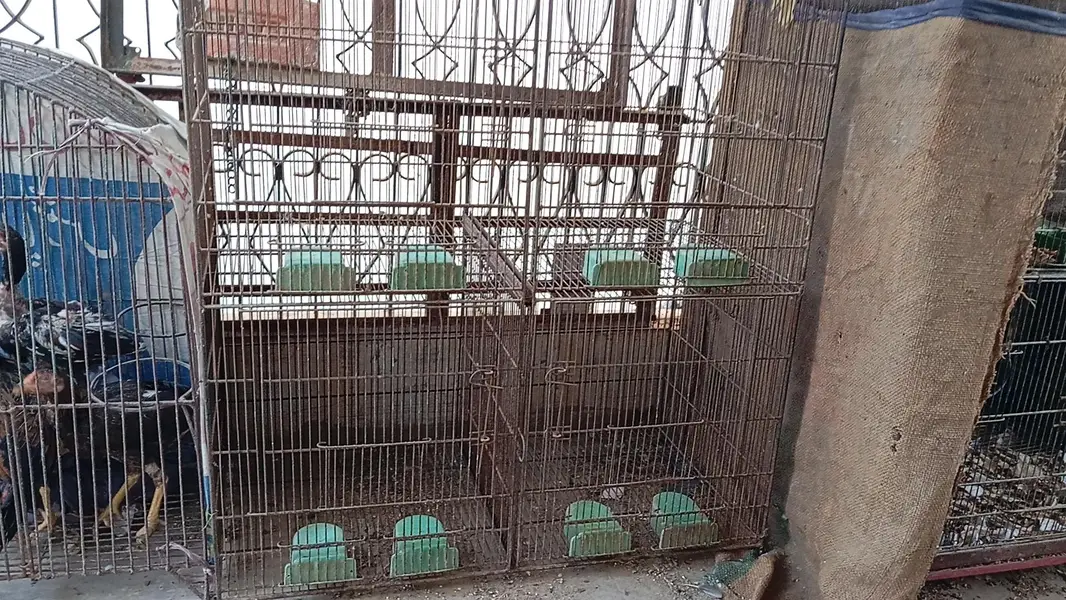 8portion cage for sell — photo 11
