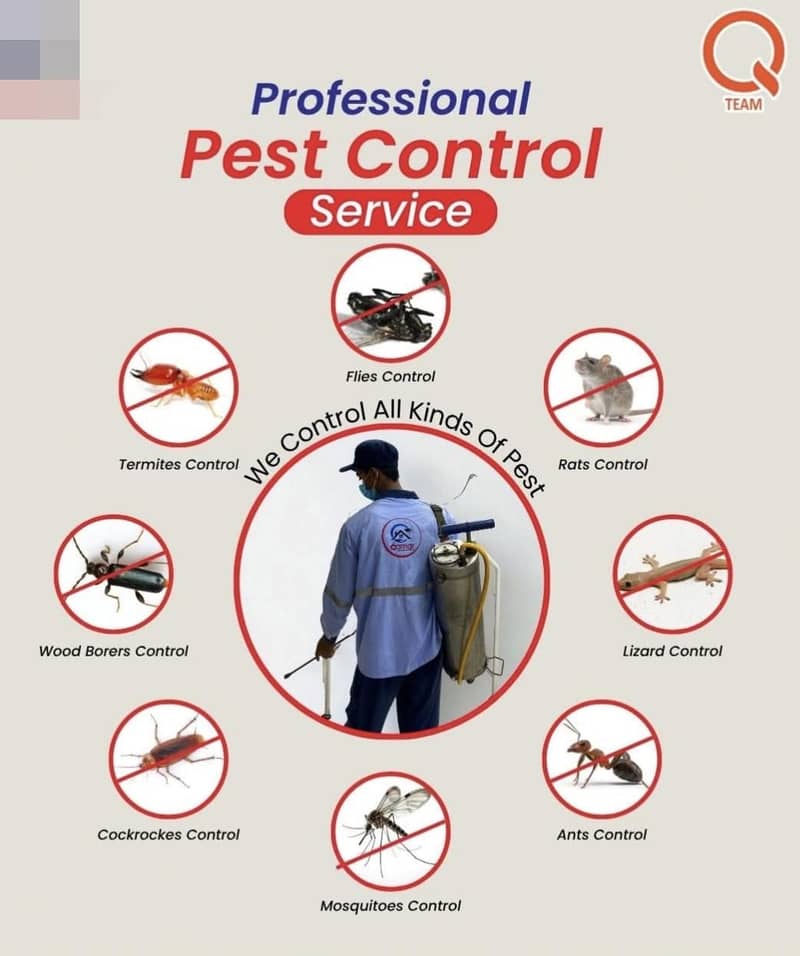 PEST  termite 1