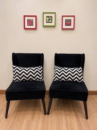 stylish Sofa chairs set