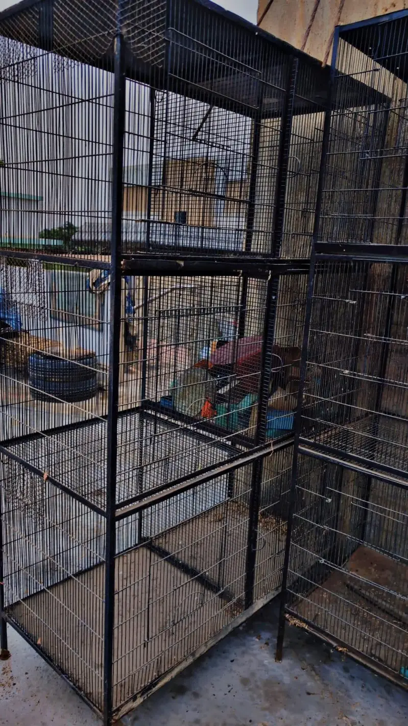 cages for sell — photo 2
