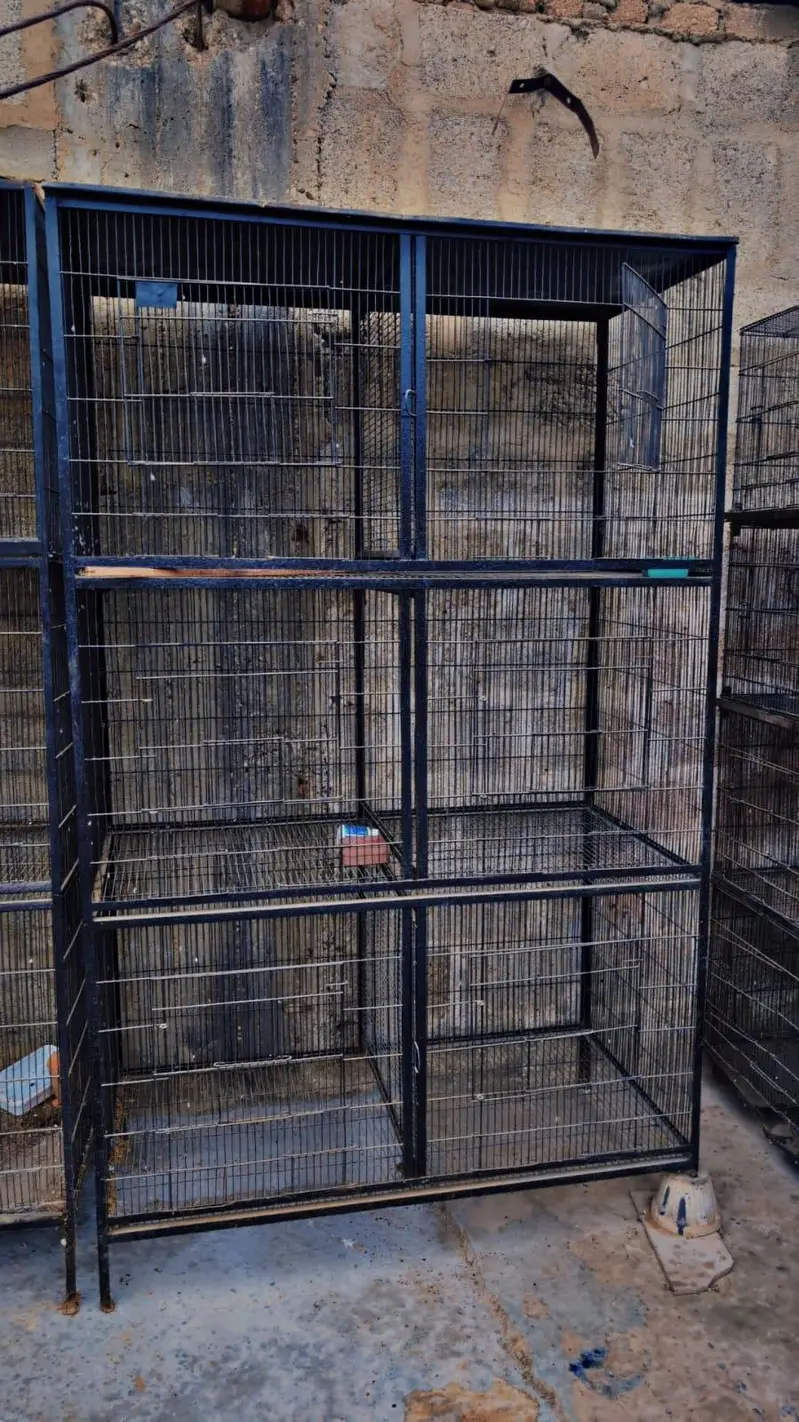 cages for sell — photo 3