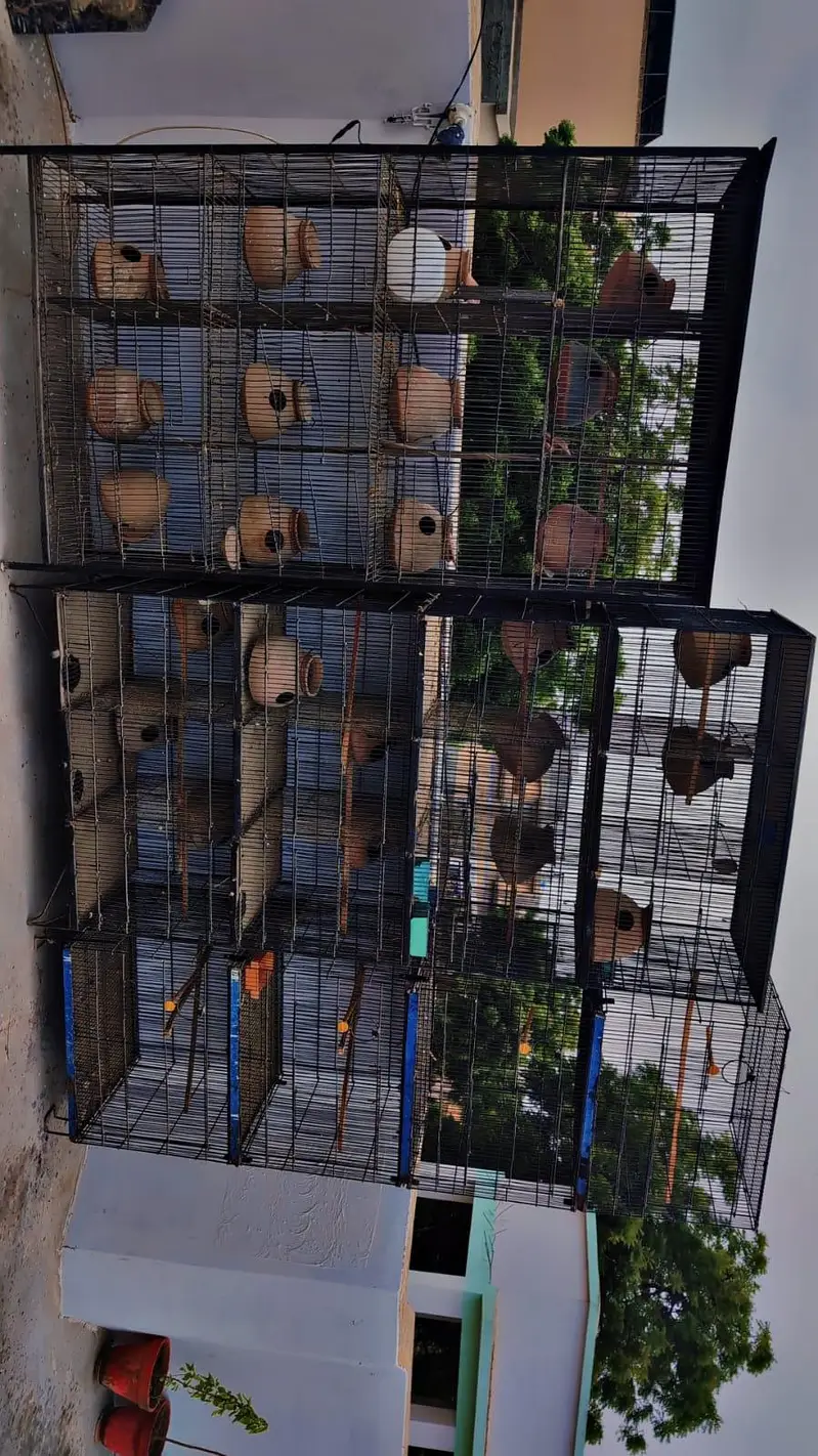 cages for sell — photo 4
