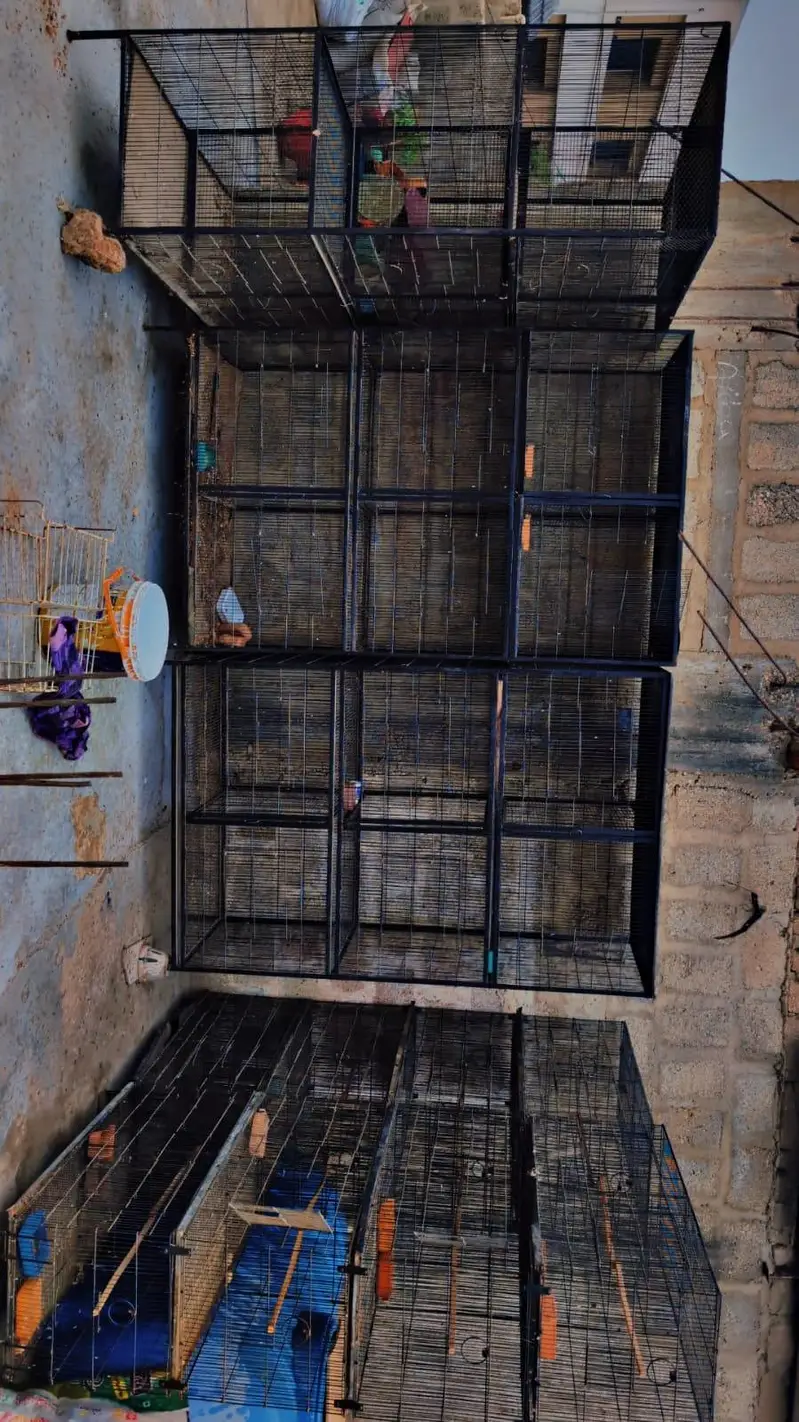 cages for sell — photo 5