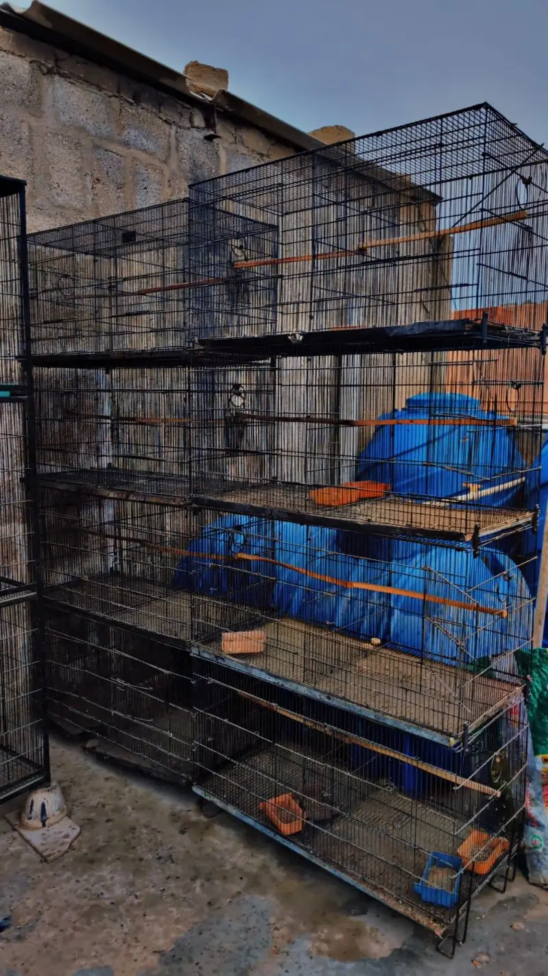 cages for sell — photo 6